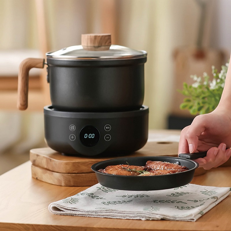 110V/220V Multi-function Elect - đánh giá và giá Camping Cooking Rice