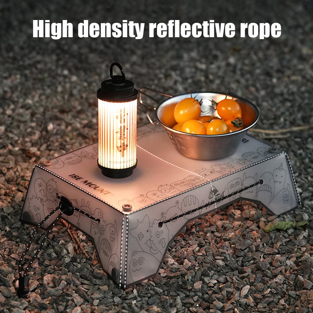 Portable Multi Folding Camping - đánh giá và giá Camping Cooking Tray