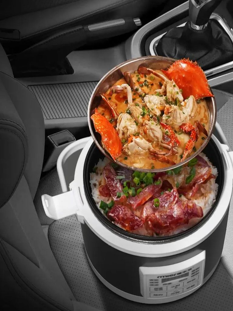 ARIER 12-24V 220V Rice Cooker  - đánh giá và giá Camping Cooking Rice