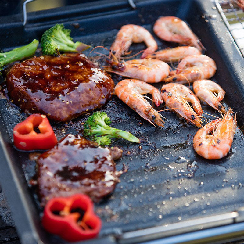 Outdoors Thick Square Grill Pa - đánh giá và giá Camping Cooking Tray